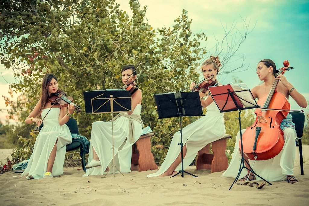 Романтические сюрпризы&nbsp;Студия креатива "Счастье есть!" : 