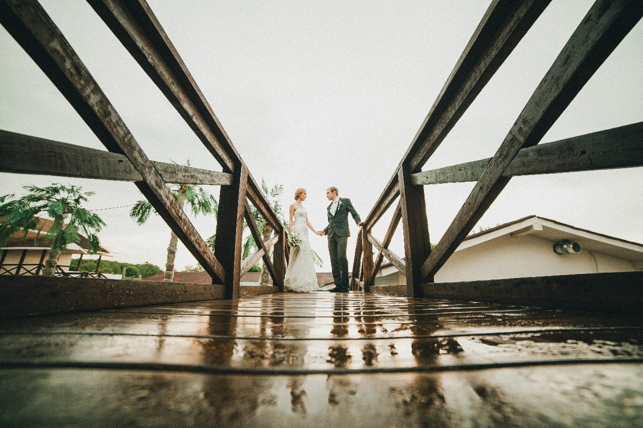 Свадьба в Дельфинарии&nbsp;Dolphin Planet : 