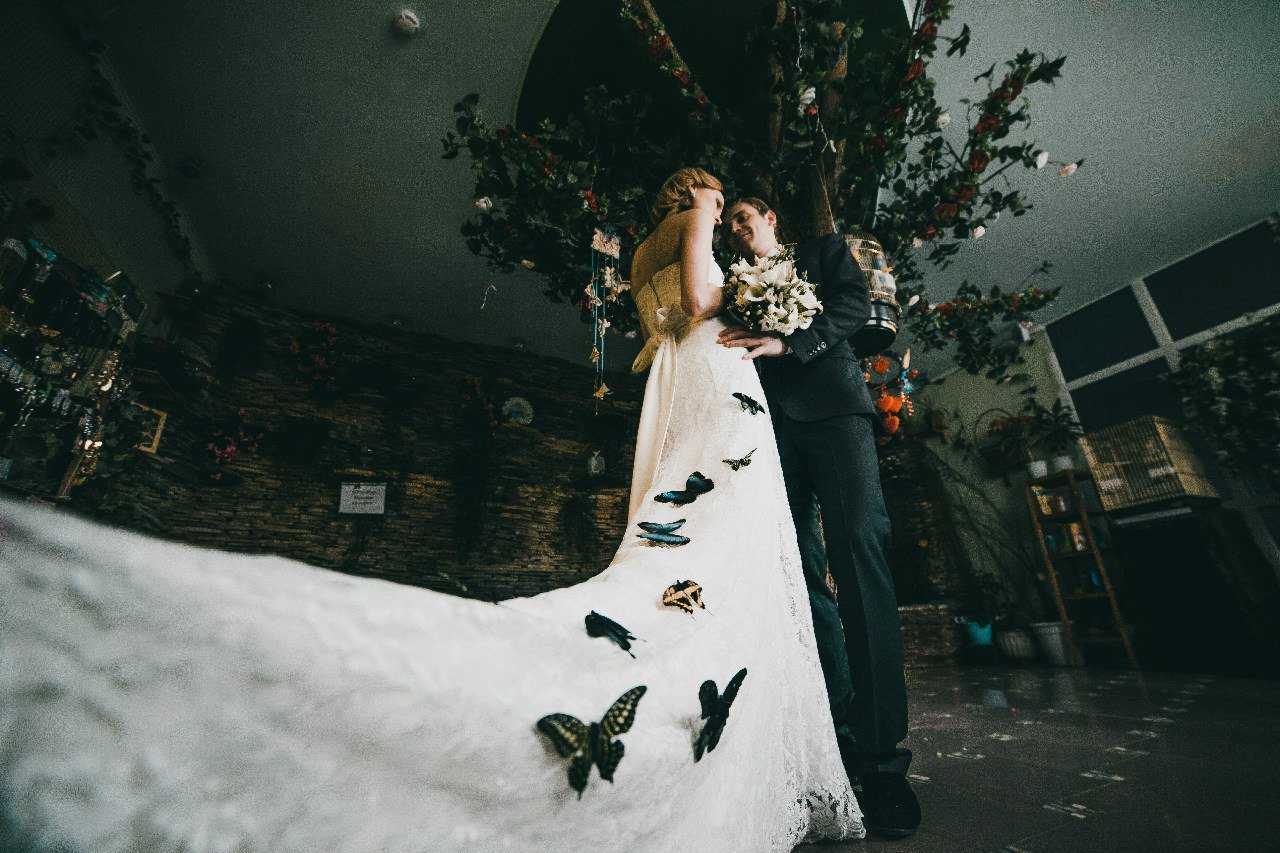 Свадьба в Дельфинарии&nbsp;Dolphin Planet : 