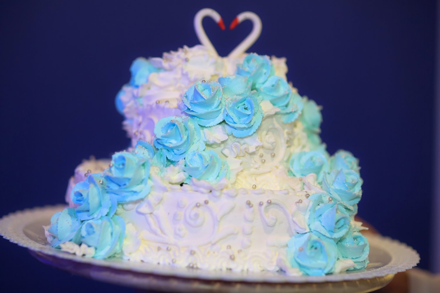 Свадьба в Дельфинарии&nbsp;Dolphin Planet : 