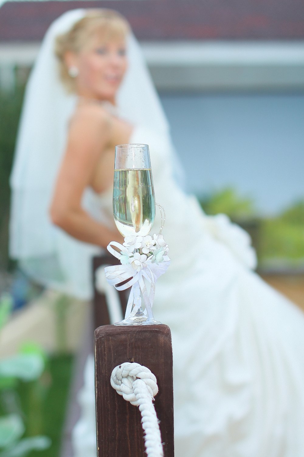 Свадьба в Дельфинарии&nbsp;Dolphin Planet : 