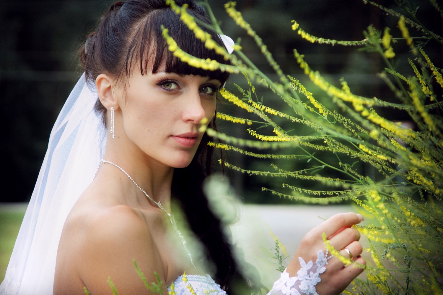 фото свадеб&nbsp;Фотосъемка торжеств : 