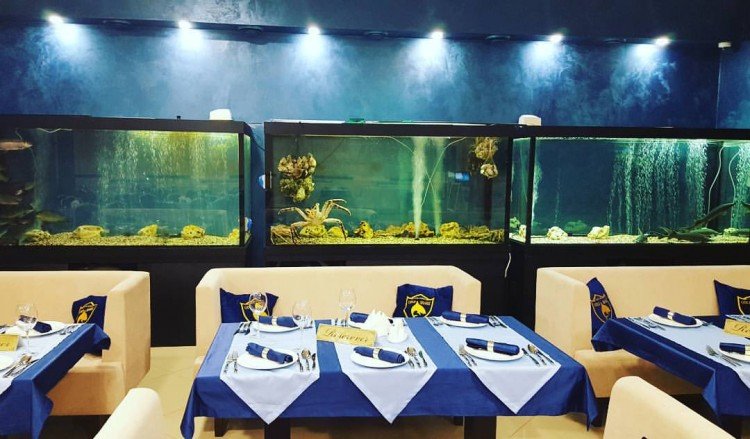 Зал "Морской"&nbsp;Загородный комплекс GOLD SHARK : 