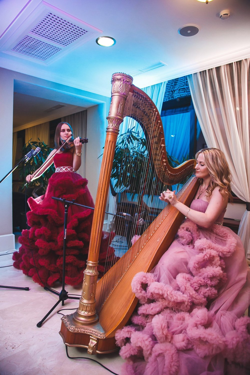 Арфистка и музыканты Арфа Project&nbsp;Арфа Project-арфистка и музыканты : 