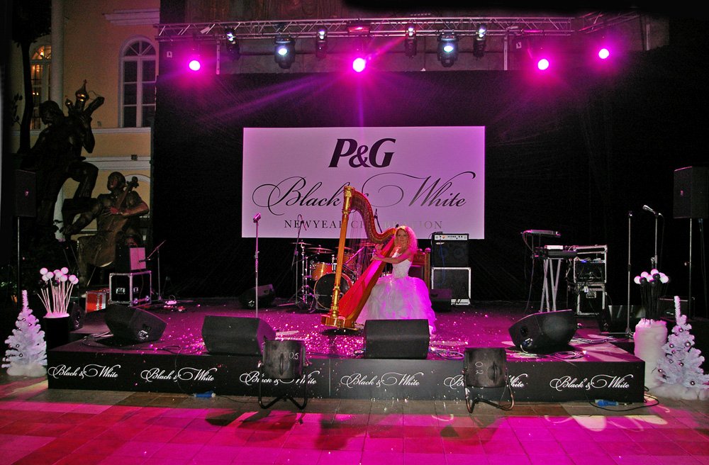 Арфистка и музыканты Арфа Project&nbsp;Арфа Project-арфистка и музыканты : 