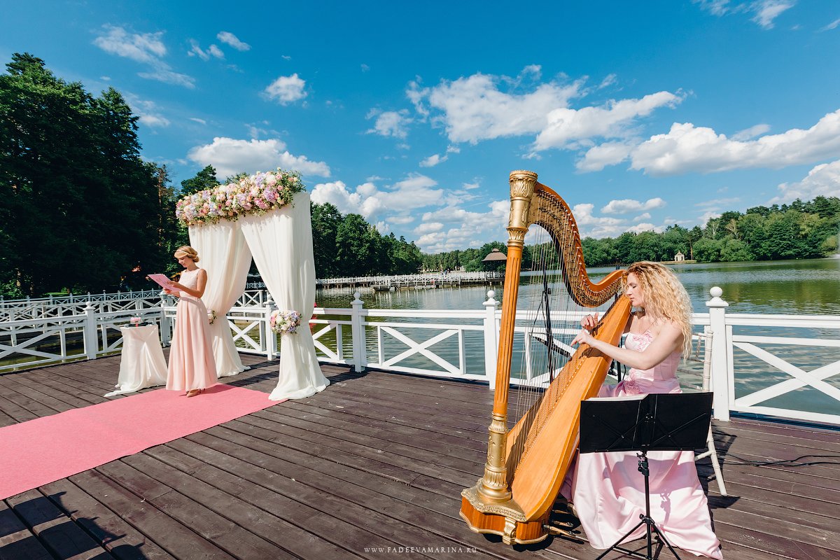 Арфистка и музыканты Арфа Project&nbsp;Арфа Project-арфистка и музыканты : 