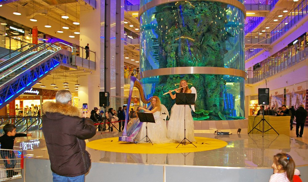 Арфистка и музыканты Арфа Project&nbsp;Арфа Project-арфистка и музыканты : 