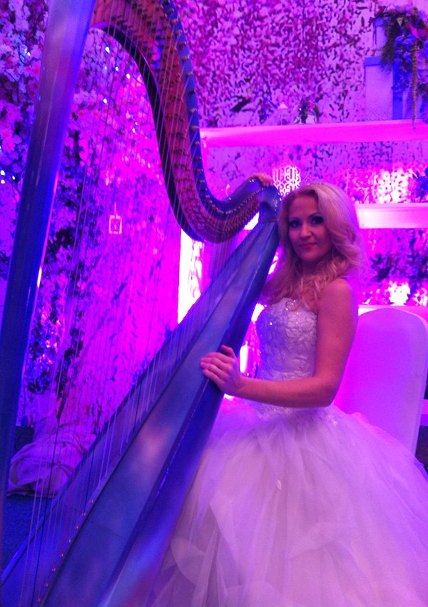 Арфистка и музыканты Арфа Project&nbsp;Арфа Project-арфистка и музыканты : 