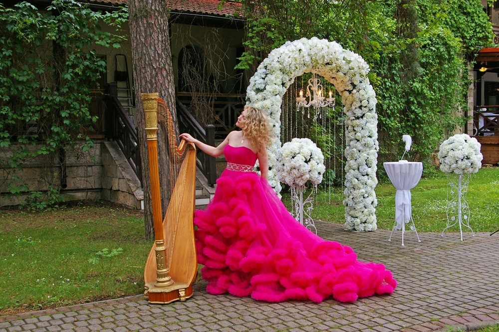 Арфистка и музыканты Арфа Project&nbsp;Арфа Project-арфистка и музыканты : 