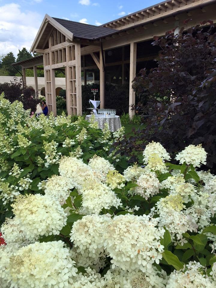 Белая веранда&nbsp;Белая веранда : 