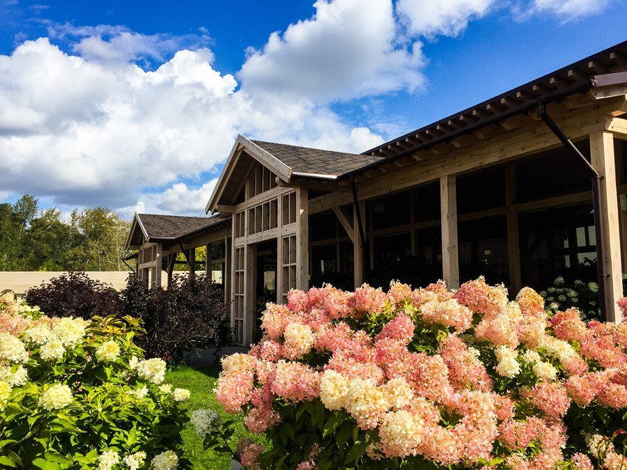 Белая веранда&nbsp;Белая веранда : 