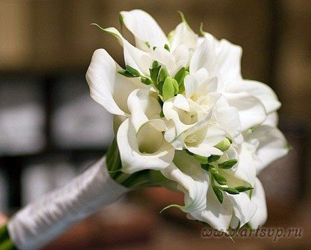 Букет невесты.&nbsp;Мастерская букетов и декора. : 