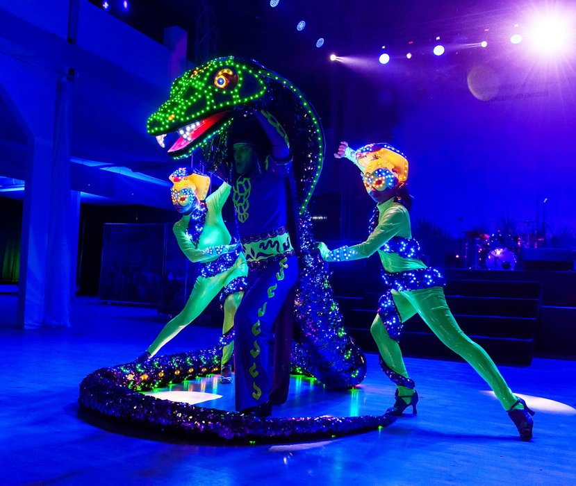 Световое шоу&nbsp;Шоу-театр Мадхура : 