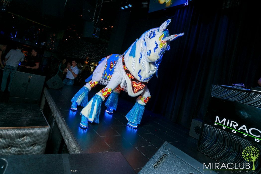 Световое шоу&nbsp;Шоу-театр Мадхура : 