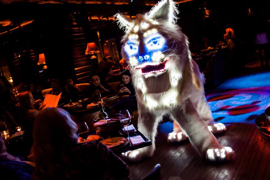 Световое шоу&nbsp;Шоу-театр Мадхура : 