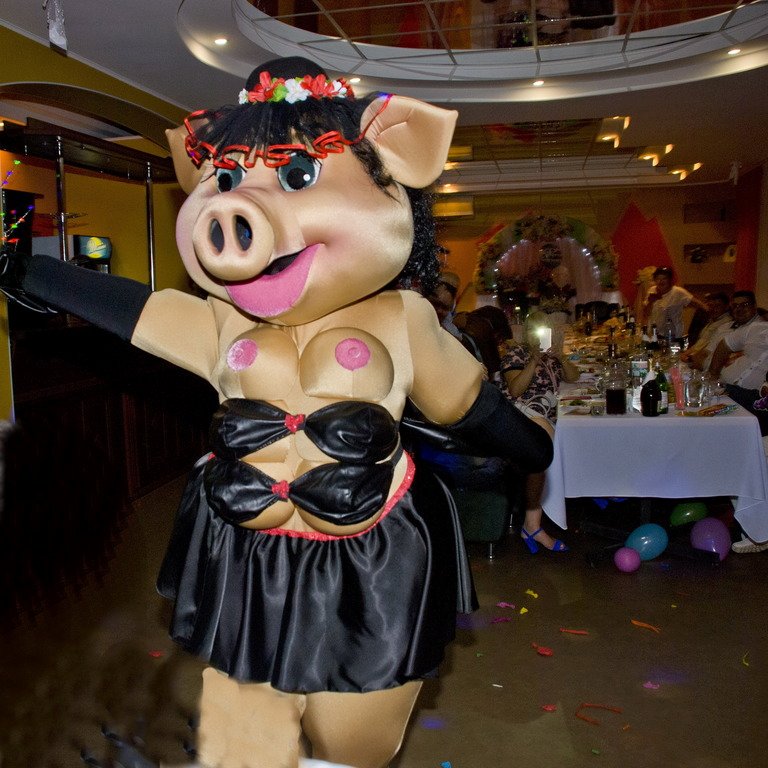 шоу ростовых кукол&nbsp;Праздники для Вас : 