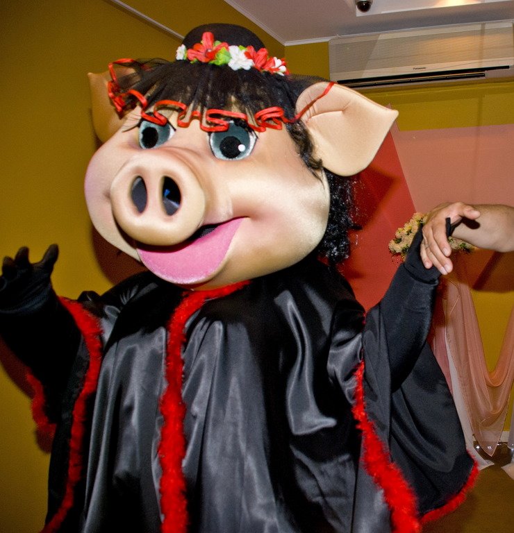 шоу ростовых кукол&nbsp;Праздники для Вас : 