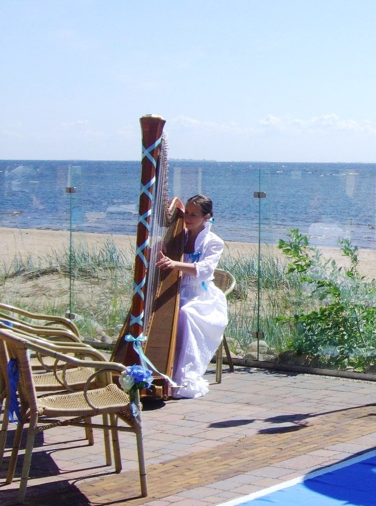 Арфа на мероприятиях!&nbsp;Арфистка Марина : 