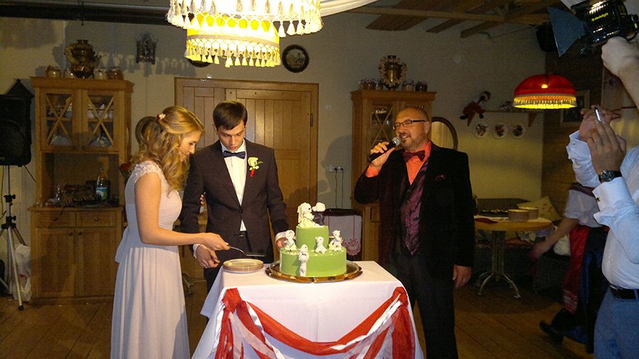 Свадебный ведущий Александр Илизаров&nbsp;Ведущий Александр Илизаров : 