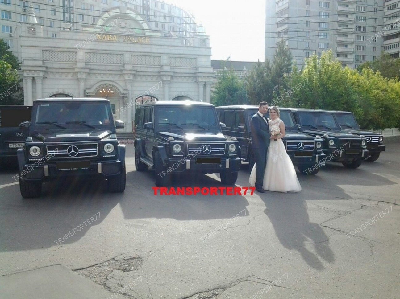 Мерседес Гелендваген с водителем на свадьбу&nbsp;Transporter77 : 