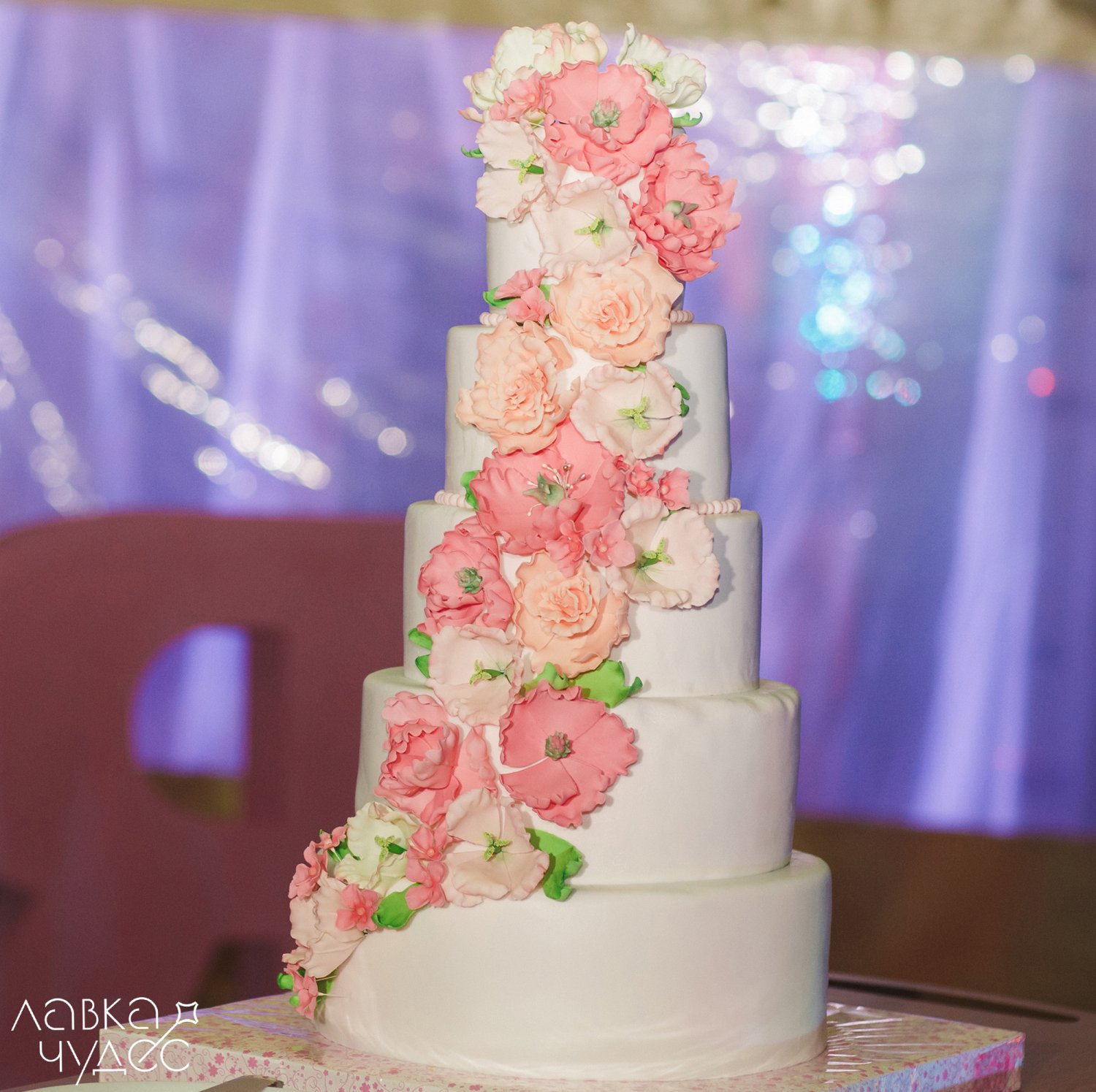 Портфолио&nbsp;Агентство событий и праздников "Лавка Чудес : 