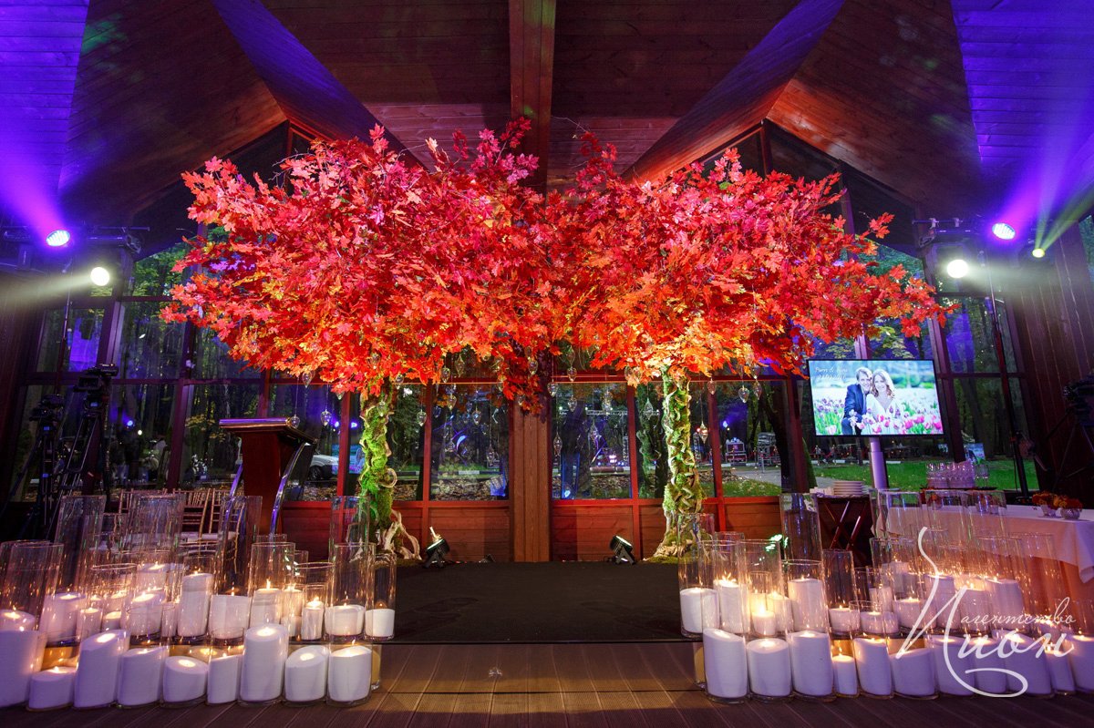 Портфолио агентства&nbsp;Праздничное агентство ПИОН : 