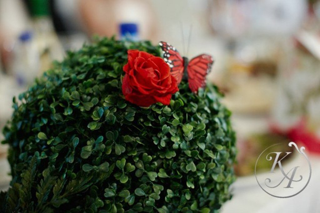 Свадьба «АЛИСА В СТРАНЕ ЧУДЕС»&nbsp;KARTON Wedding Agency : 