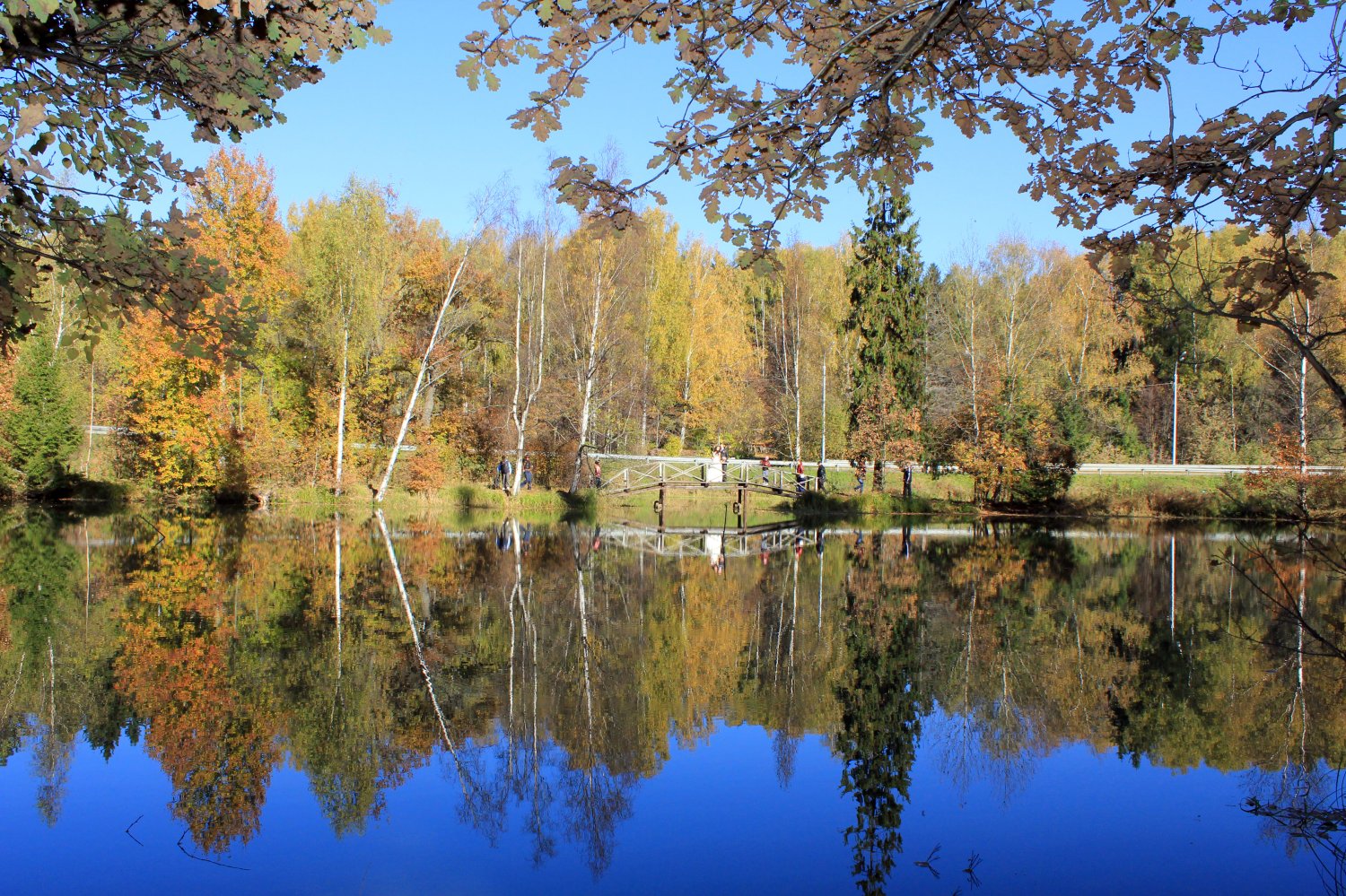 фото&nbsp;Фотограф Тарасова Ольга : 
