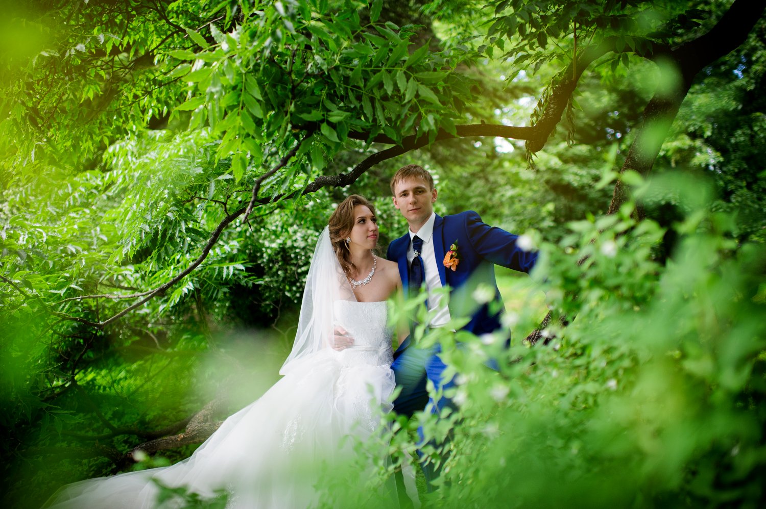 Портфолио&nbsp;Фотограф Anatoliy Sh. : 