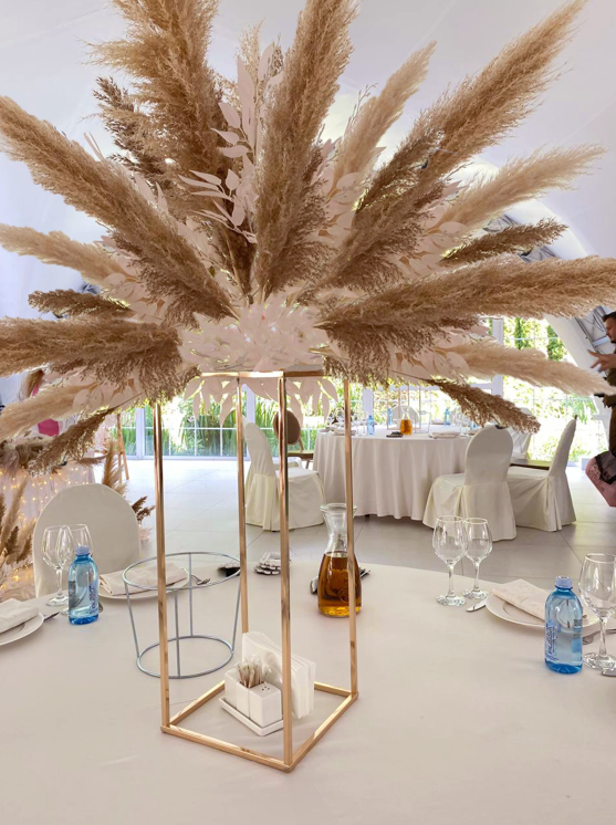 портфолио&nbsp;Donald Decoration : 